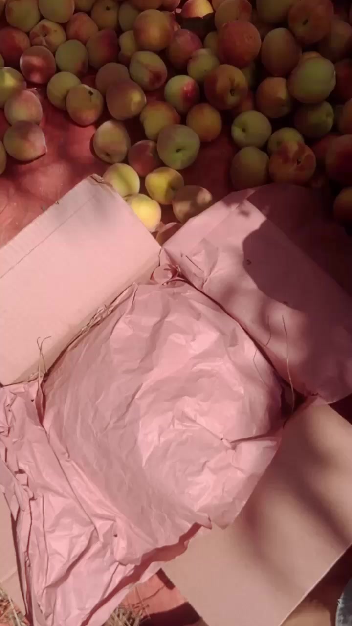 @🍎swat fruit 🍎
