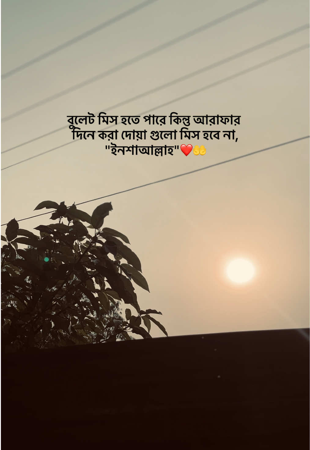 @ᴢꫝʜɪᴅ ••••••