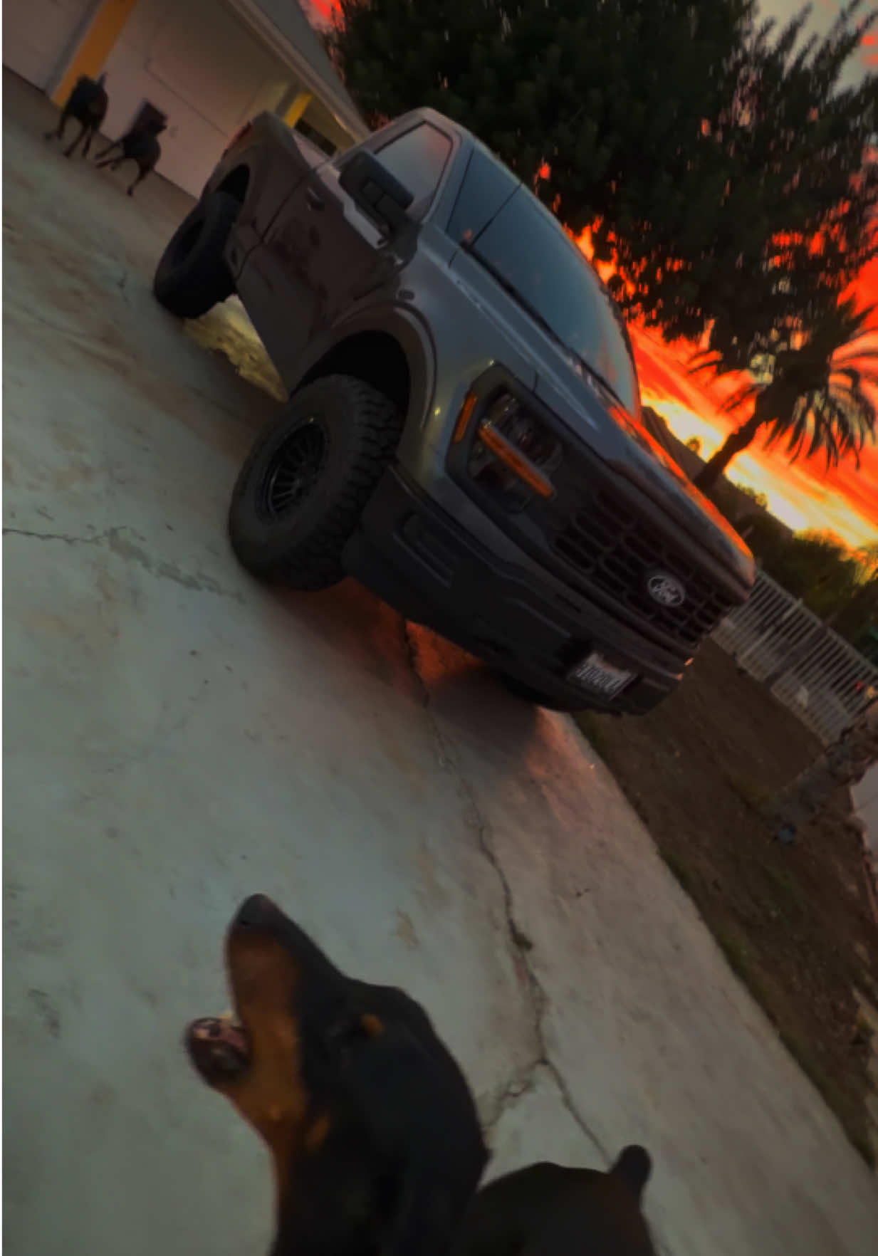 @Stephsinaloa