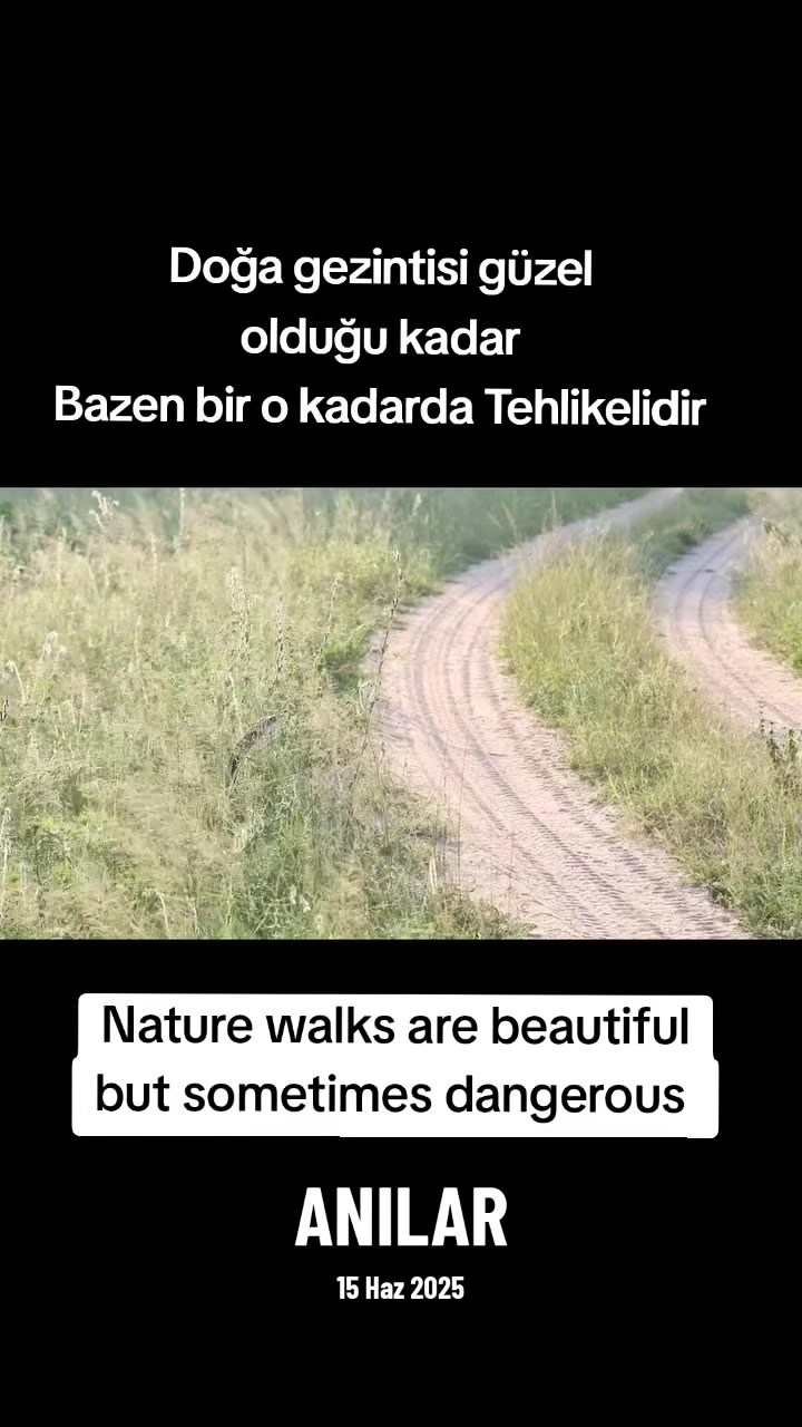 @doğa hayranı