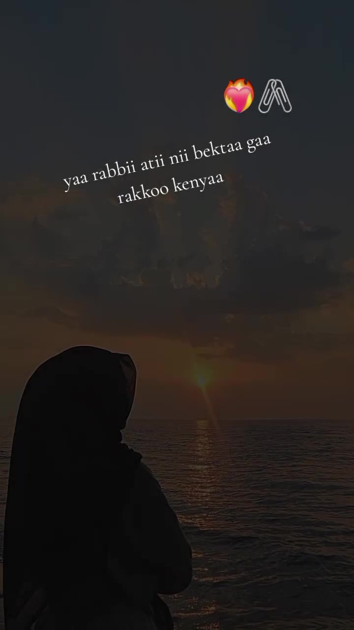 @𝐐𝐨𝐧𝐣𝐢𝐲𝐞𝐞,5𝐆🍫
