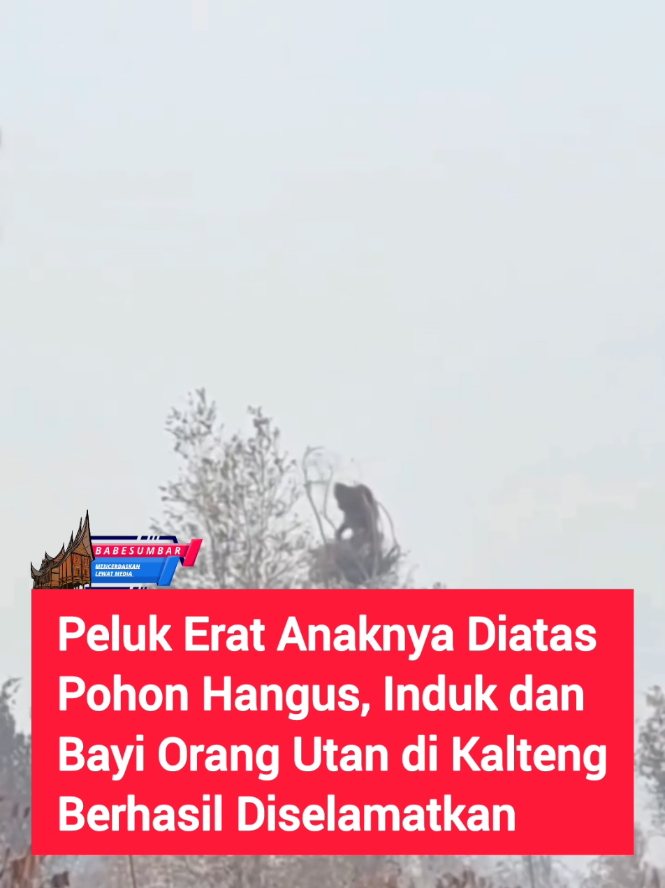 @Baca Berita Sumbar