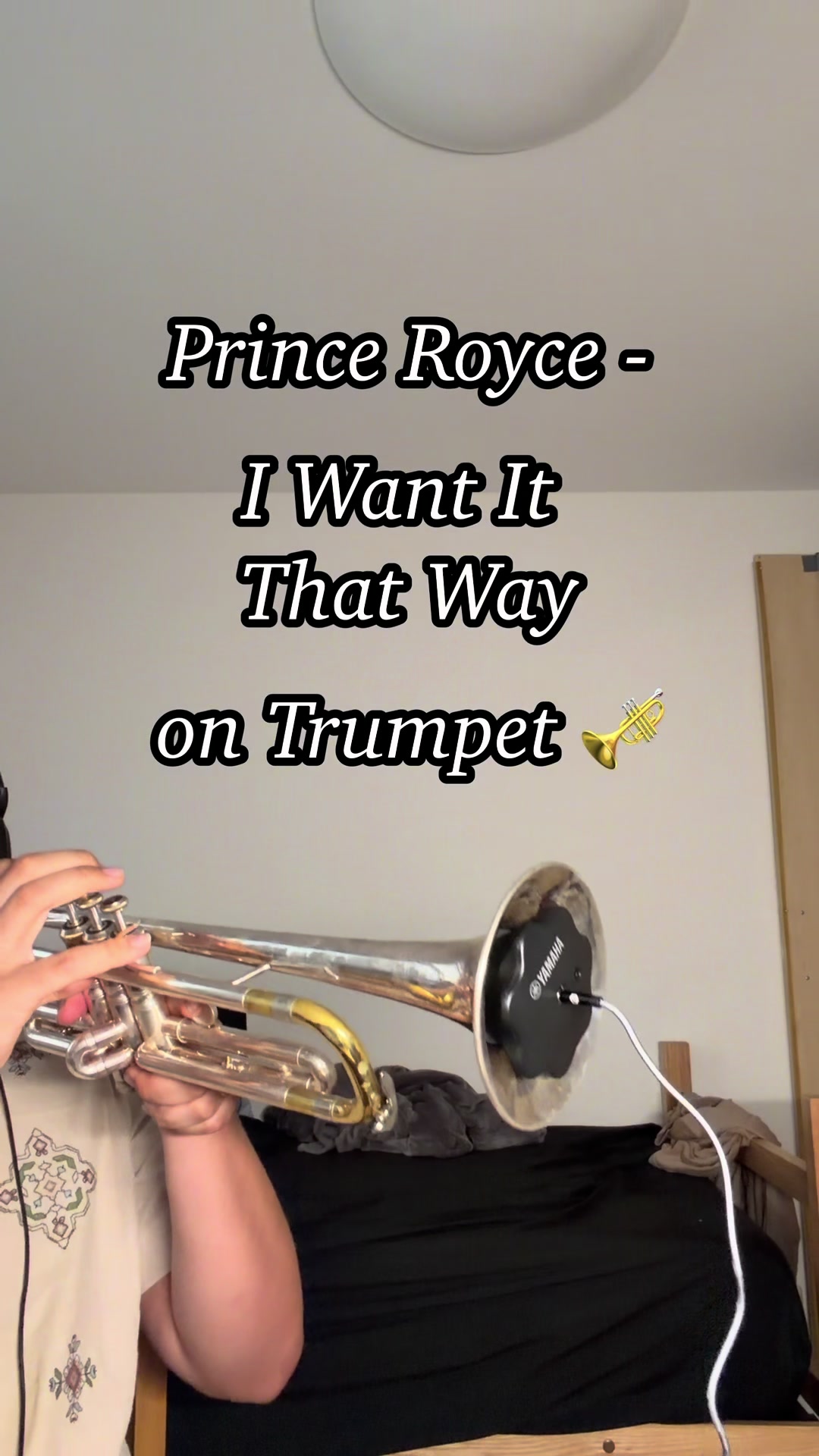 @mexicantrumpetboy