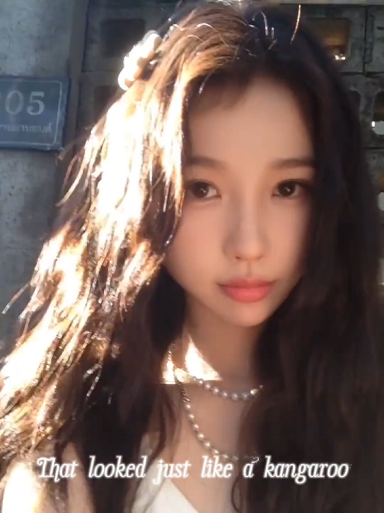@xinxin1218 🐟
