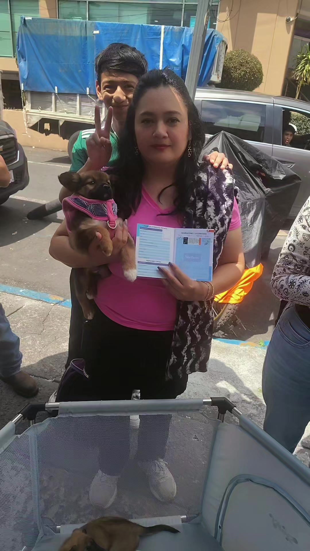 @rescate de perros guapos 😚