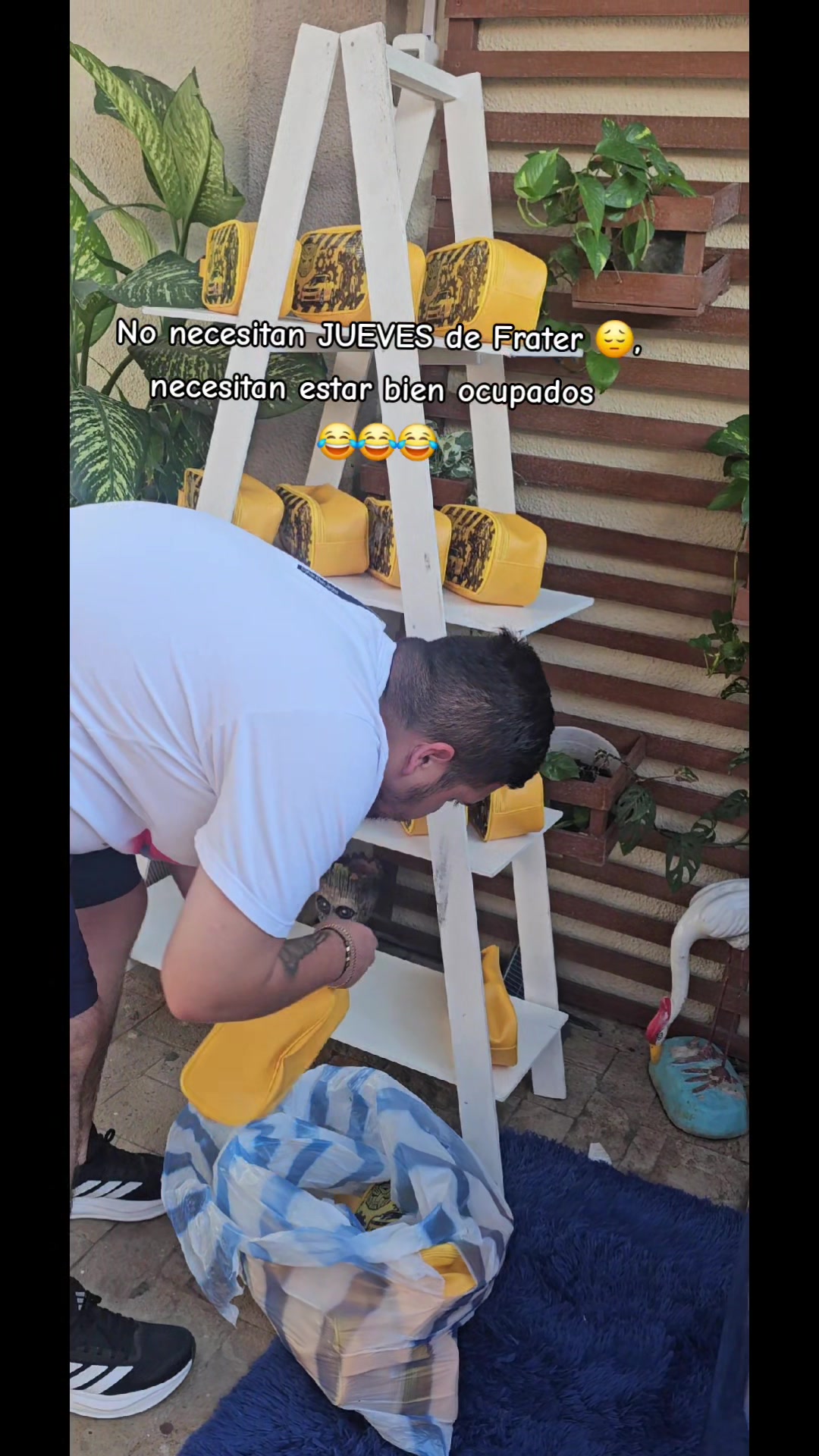 @DecorEventos