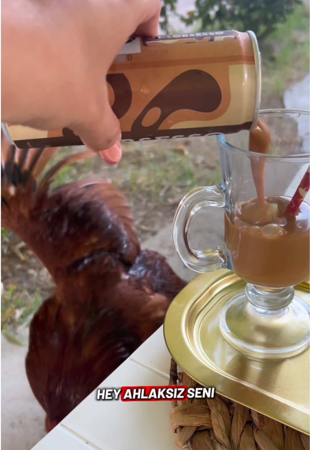 @Kılı&ccedil; Krali&ccedil;esi