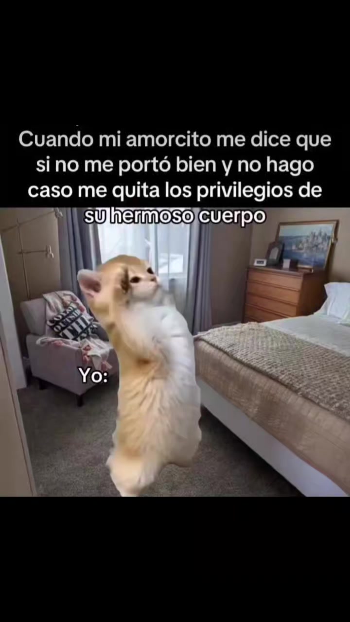 @WenArgüelloo