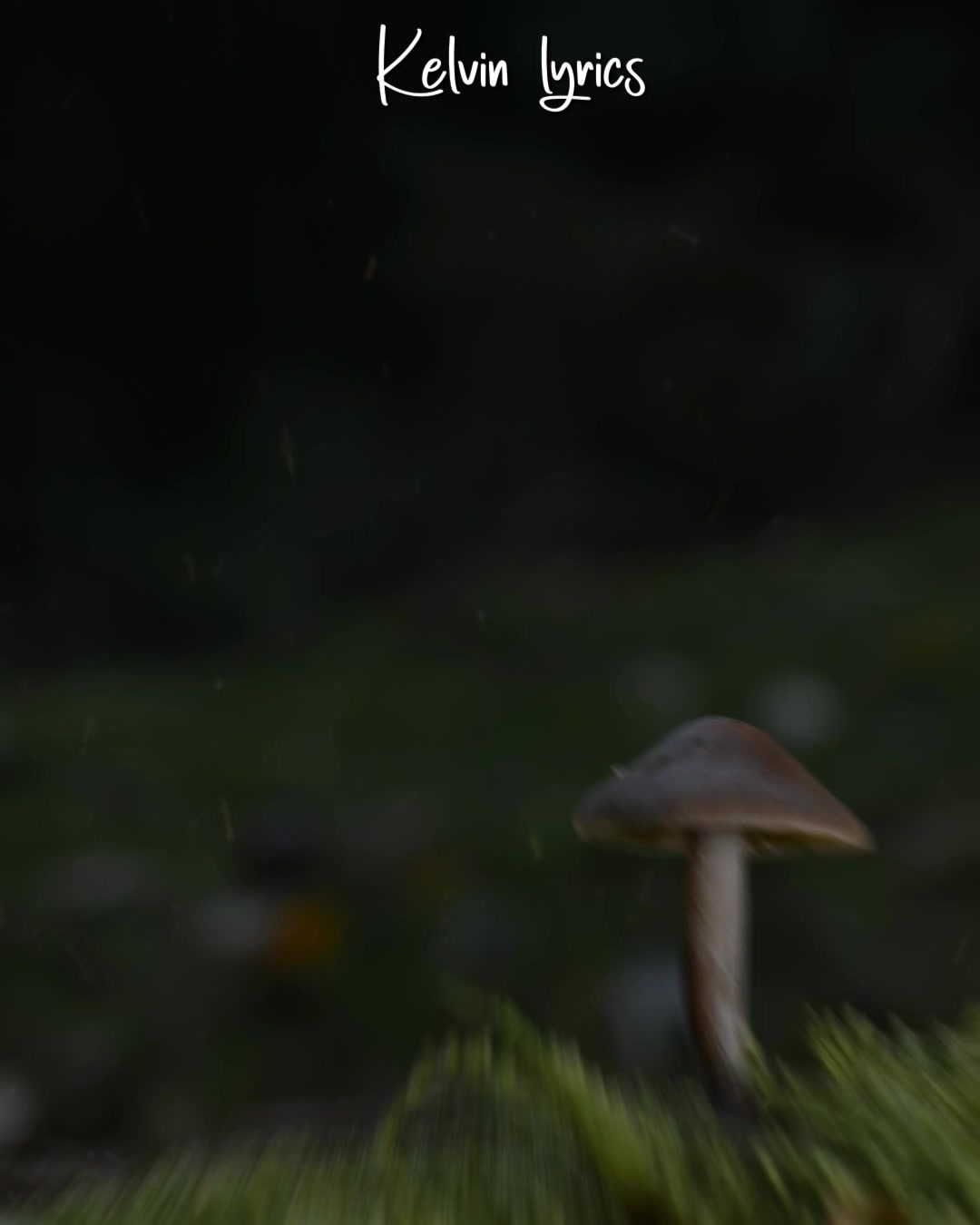@𝐊𝐈𝐍𝐆 𝐎𝐅 𝐋𝐘𝐑𝐈𝐂𝐒