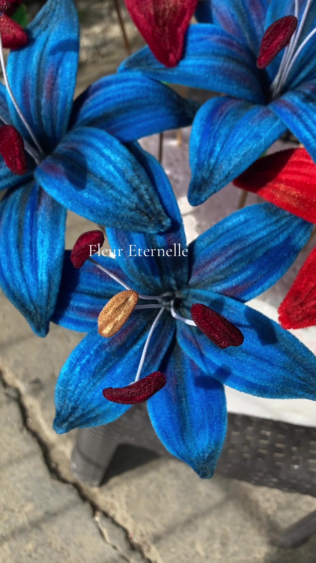 @Fleur Eternelle