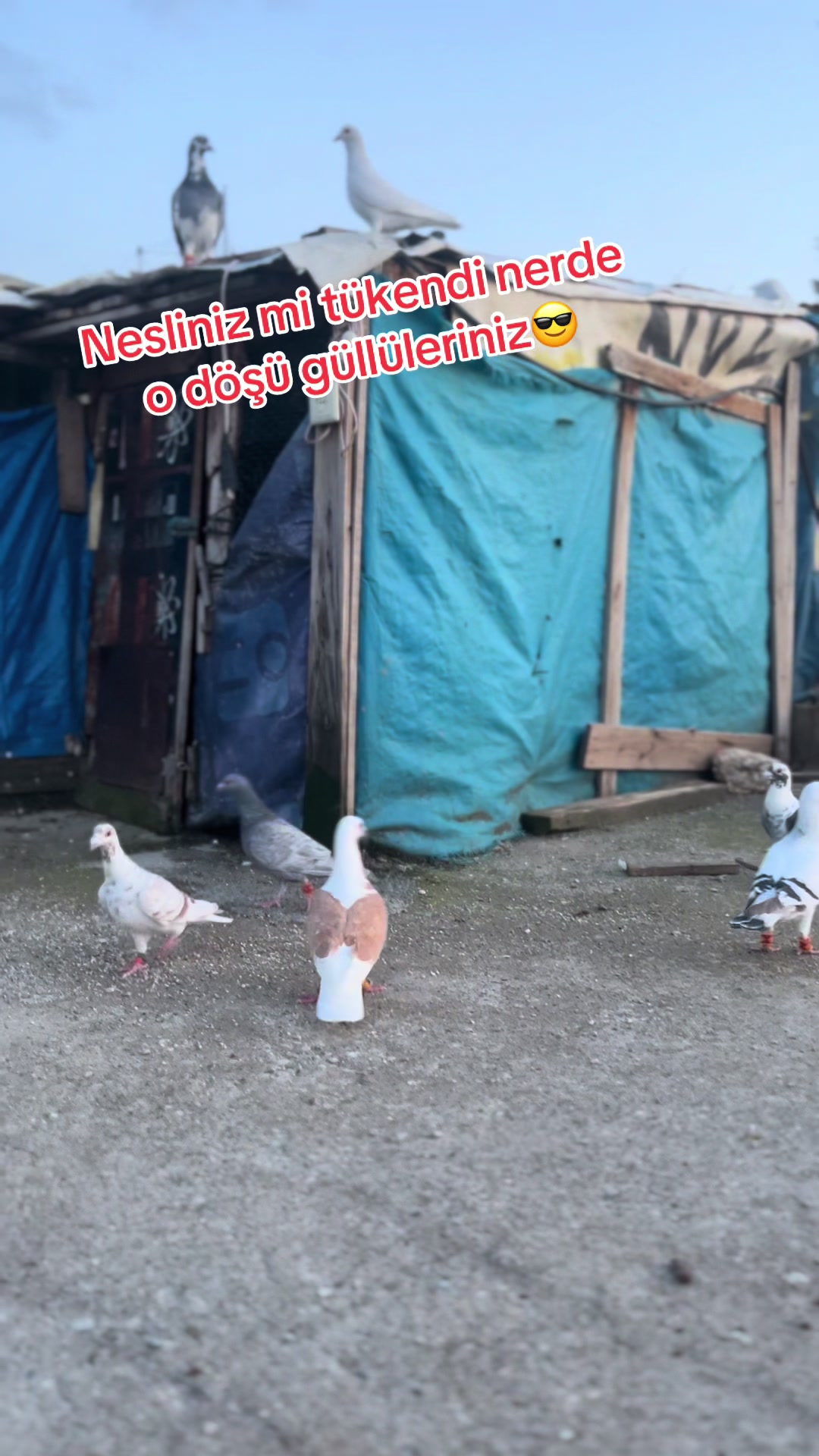 @başkoo♻️