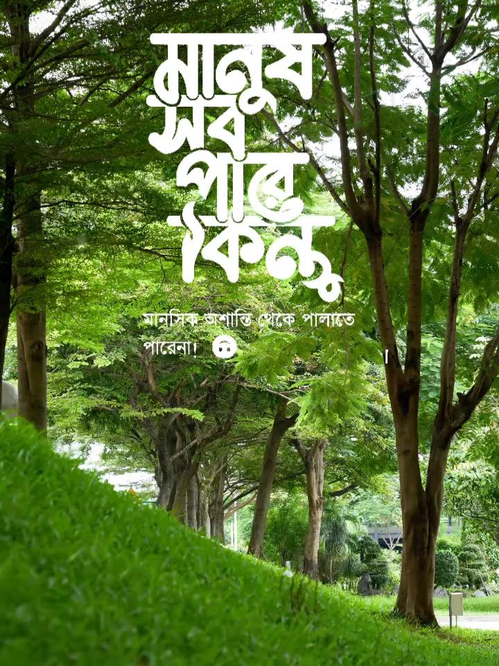 @F.A. Feroz