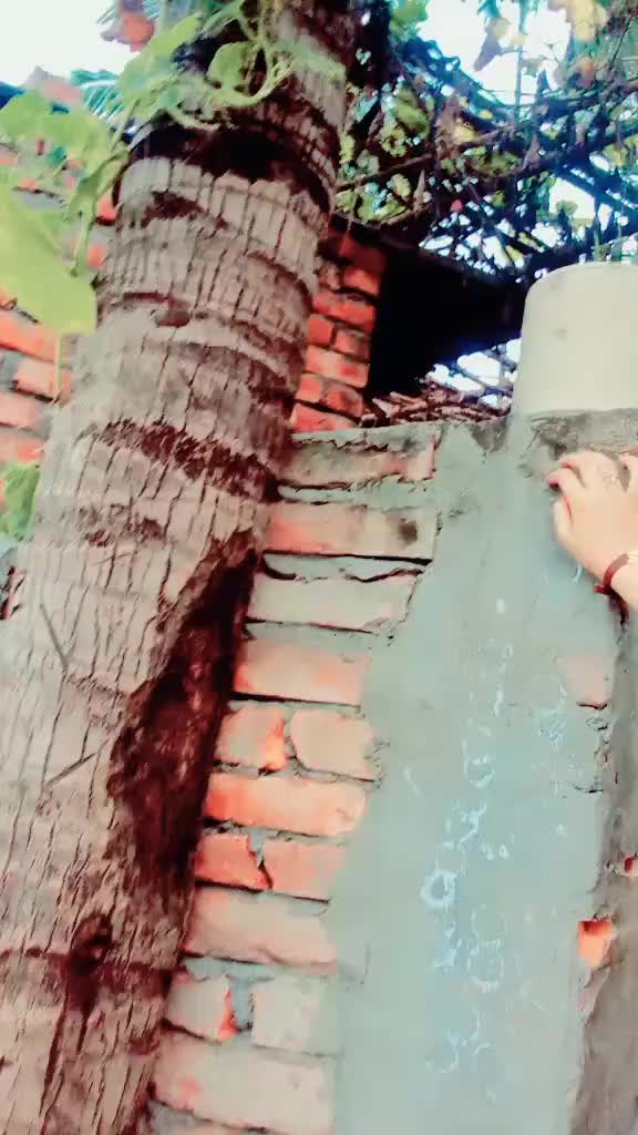 @🌸🌼Mim🦋🦋