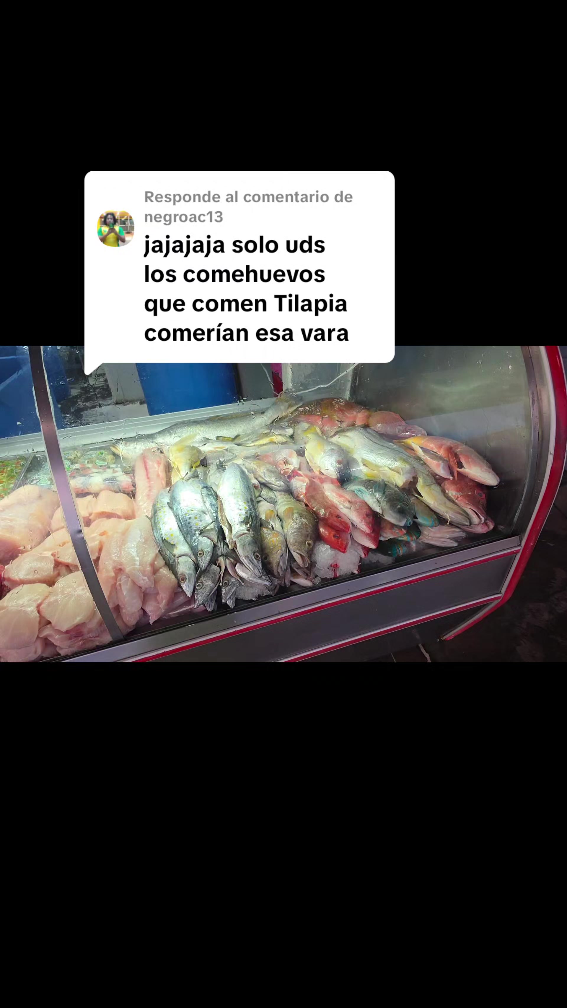 @Fish Store