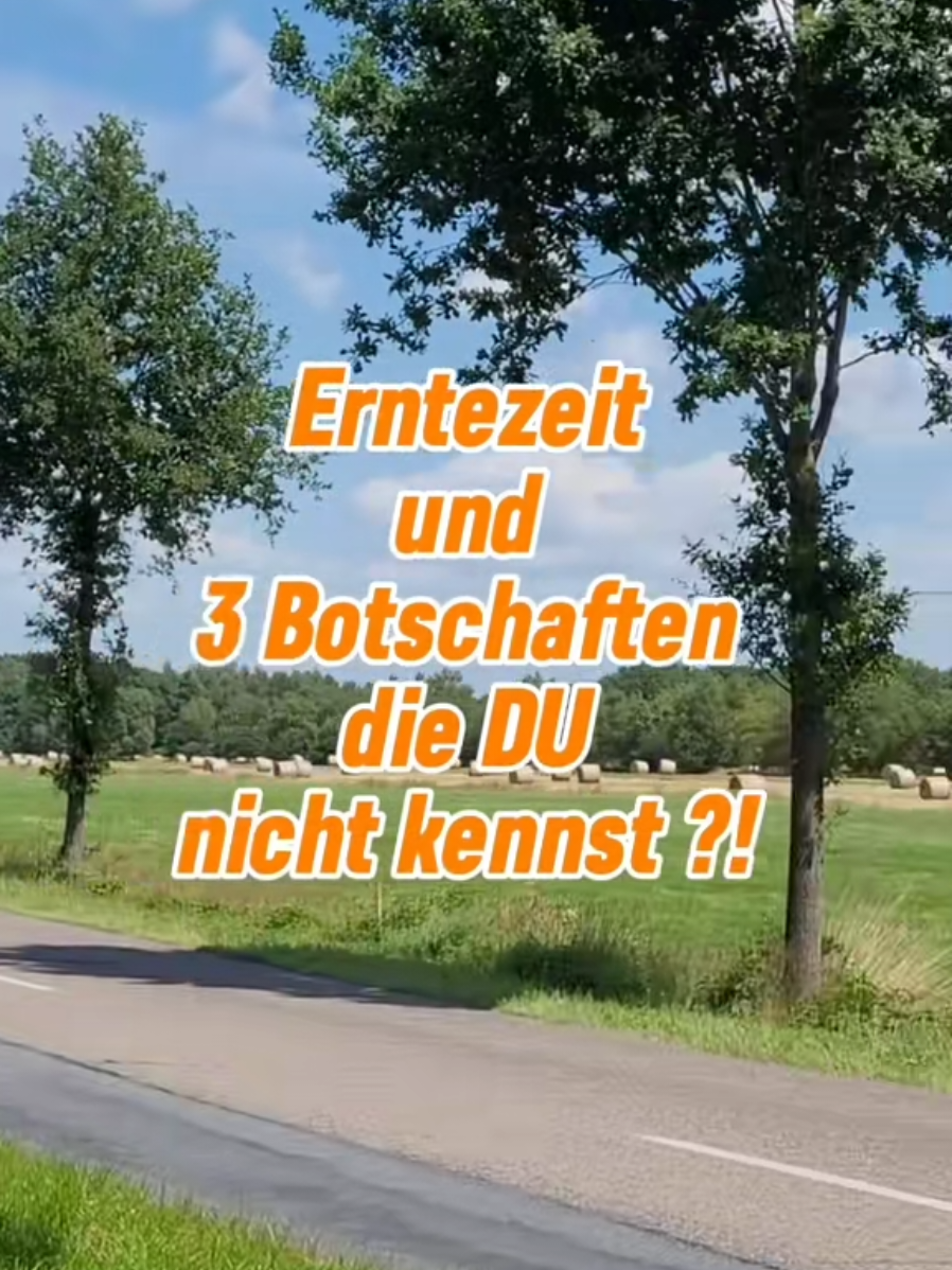 @ᗰOIᑎ🔆ostfriesin_unterwegs