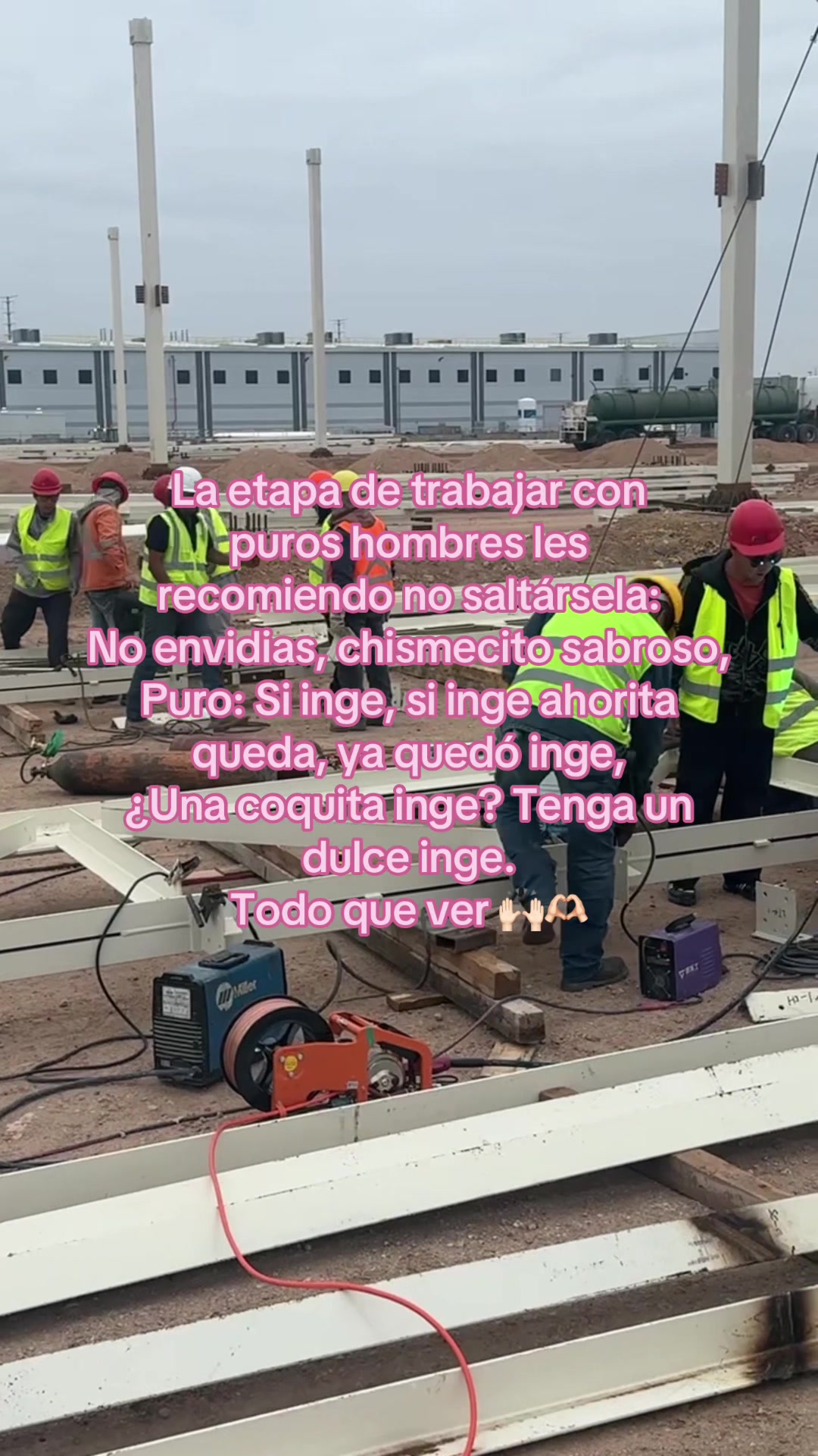 @Ale Moreno Ochoa