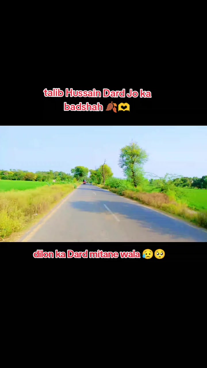 @hsasnali 333