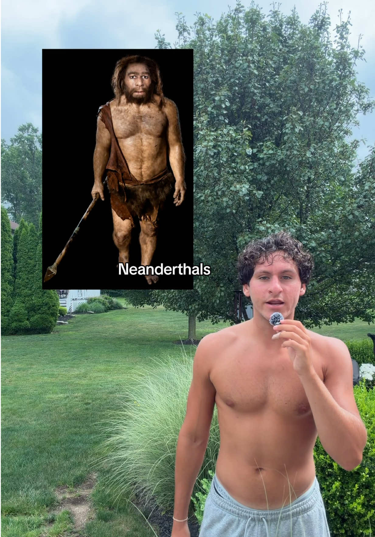@Domimprovements