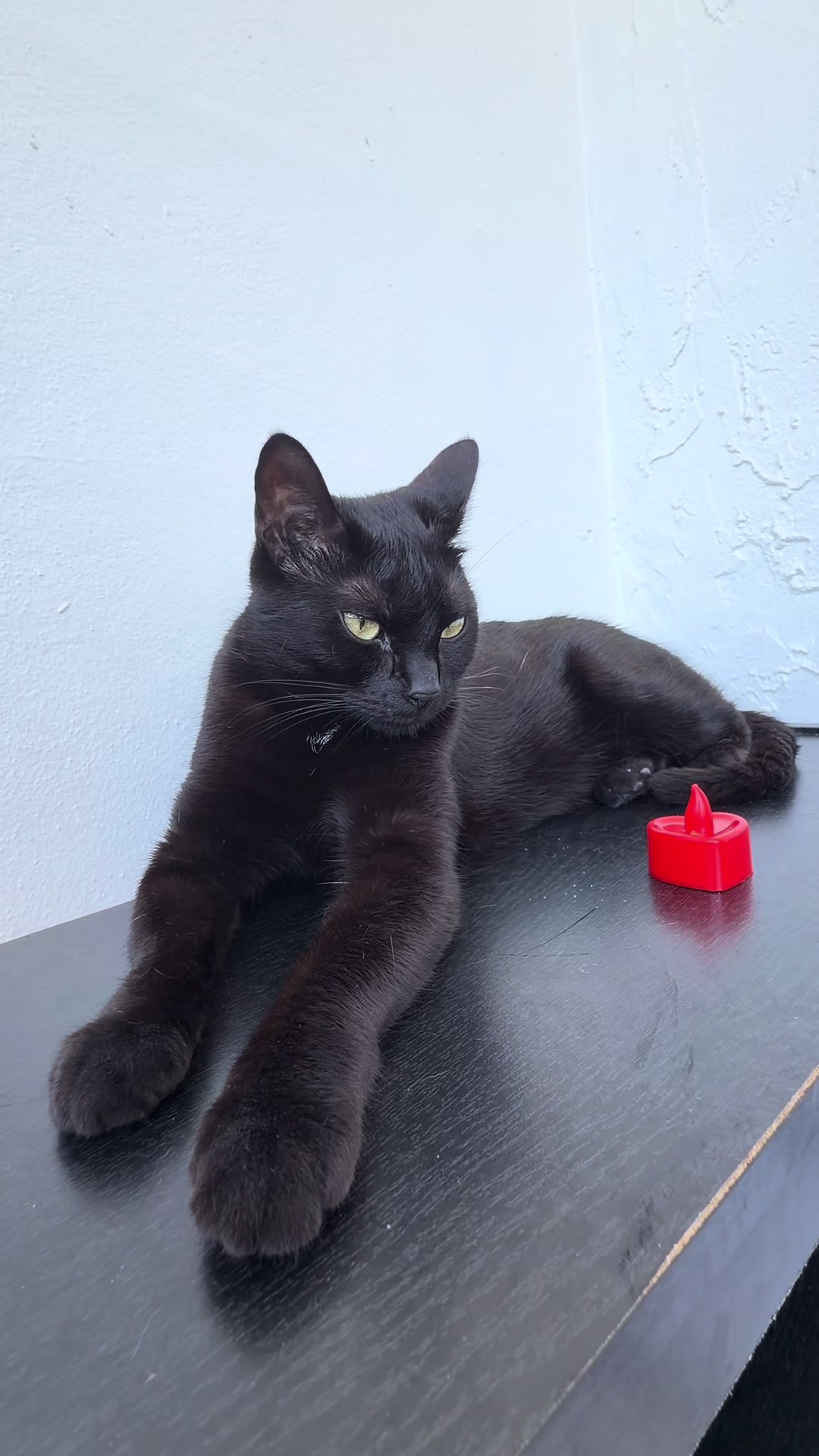 @I&rsquo;m Kitty 🐈&zwj;⬛