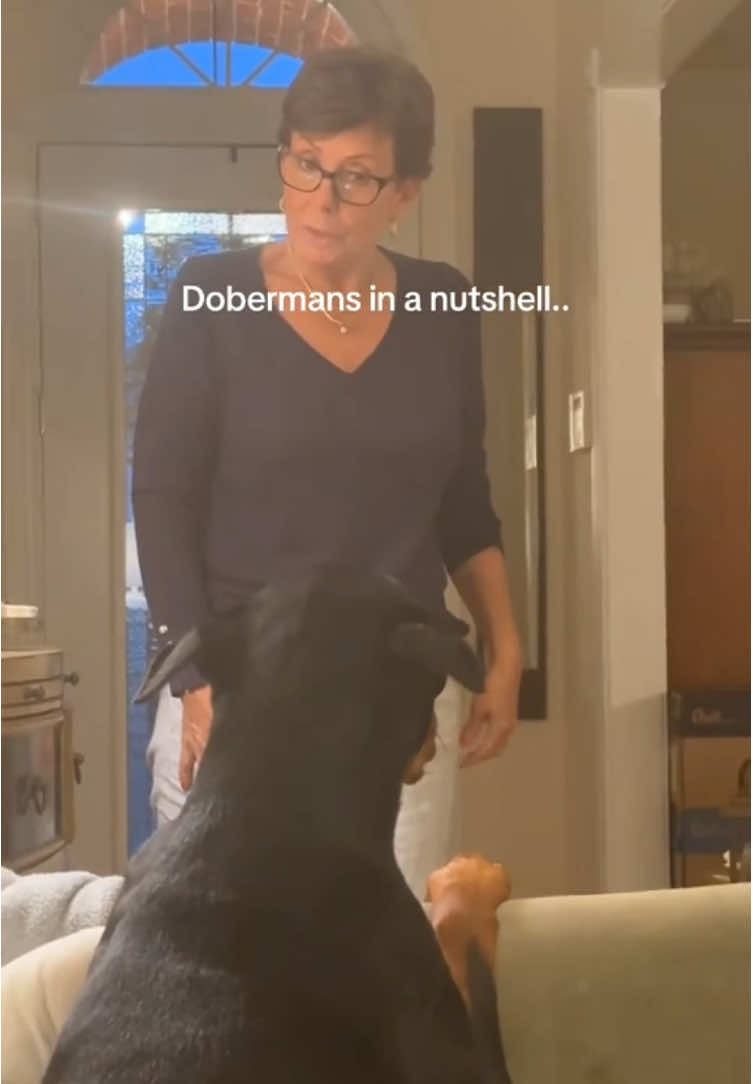 @Funny dogdia80