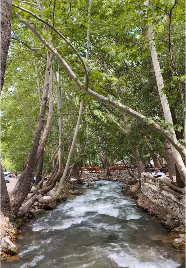 @Ersin_Coş_07
