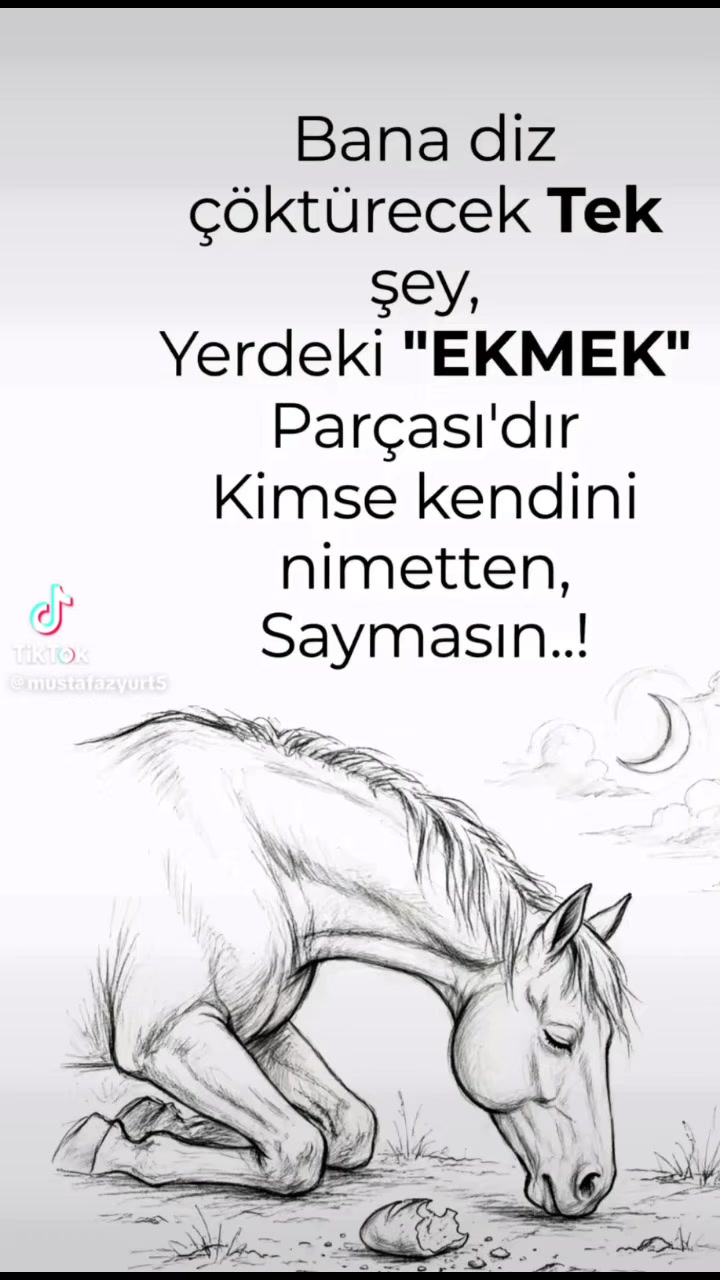 @🇹🇷Brad Gonyali Pitt🇩🇪