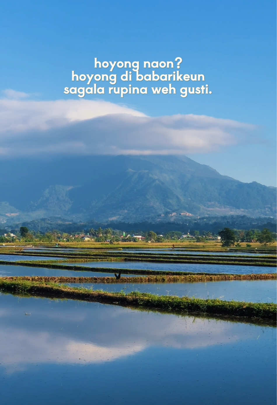 @asligarut___