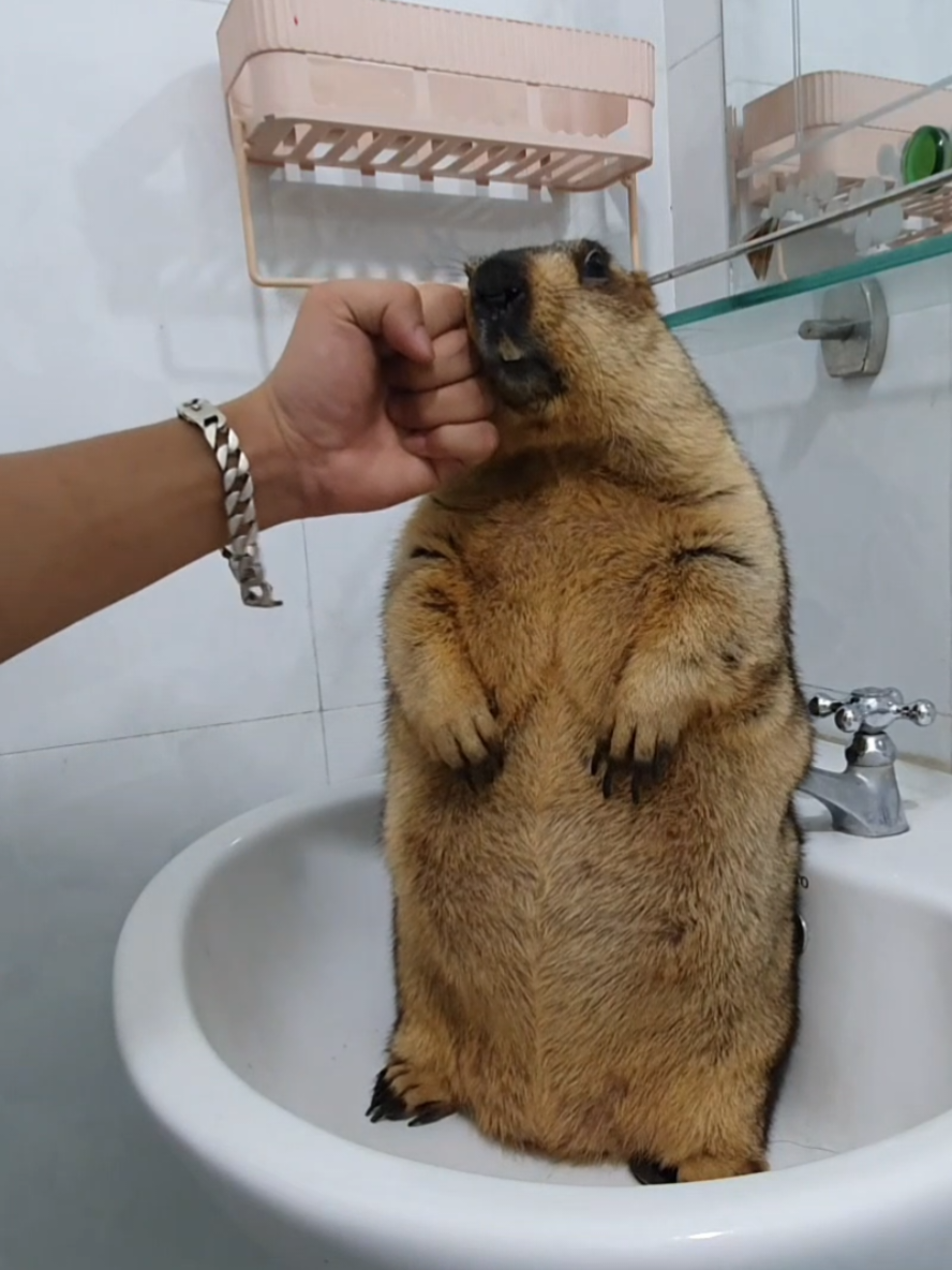 @YêuYêu