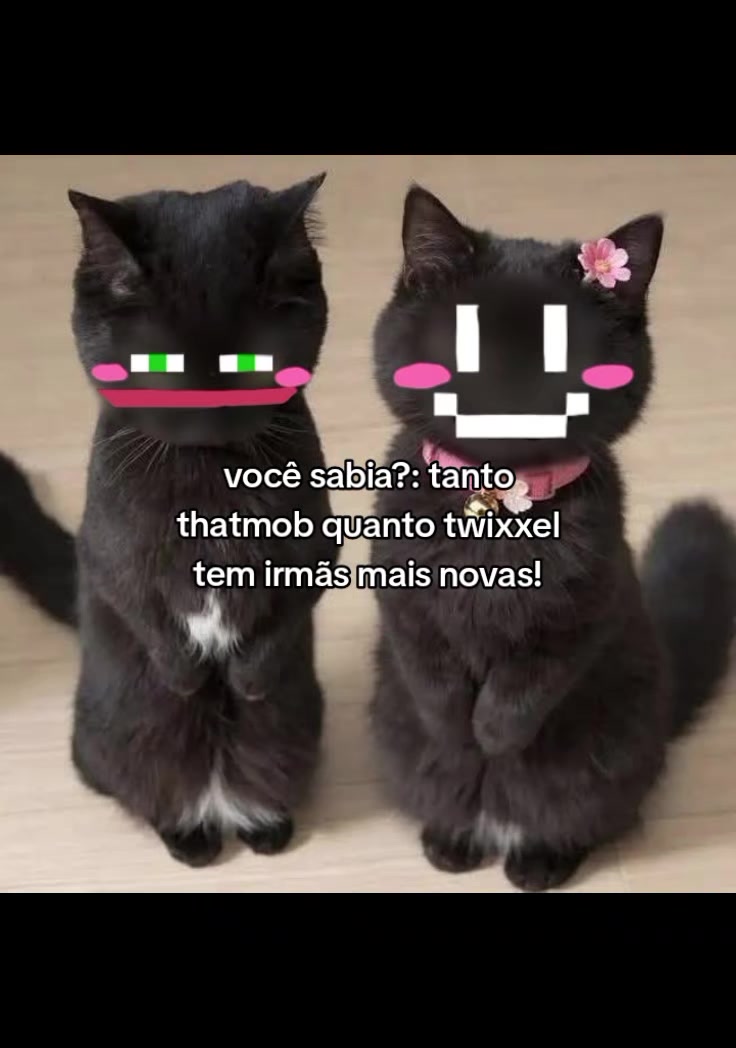 @๊ฐเงง ๐ทัแฒแฒแฅก เป๊ฑ