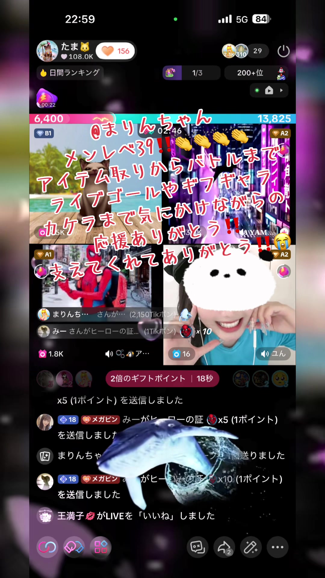 @たま🐱
