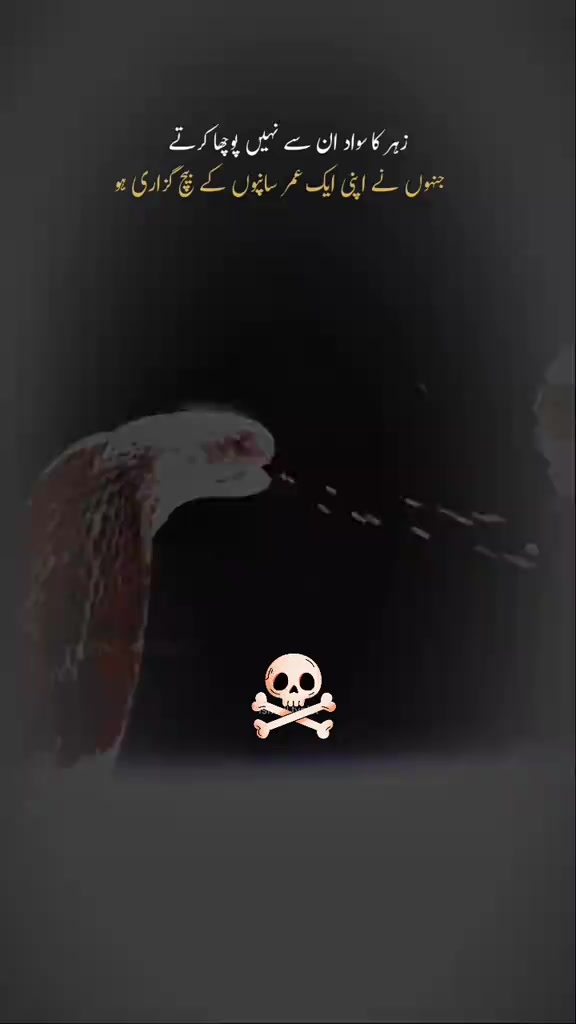 @❤️ᎦᎧᏞᎧ々Rɪᴅᴇʀ乂⁰⁷࿐