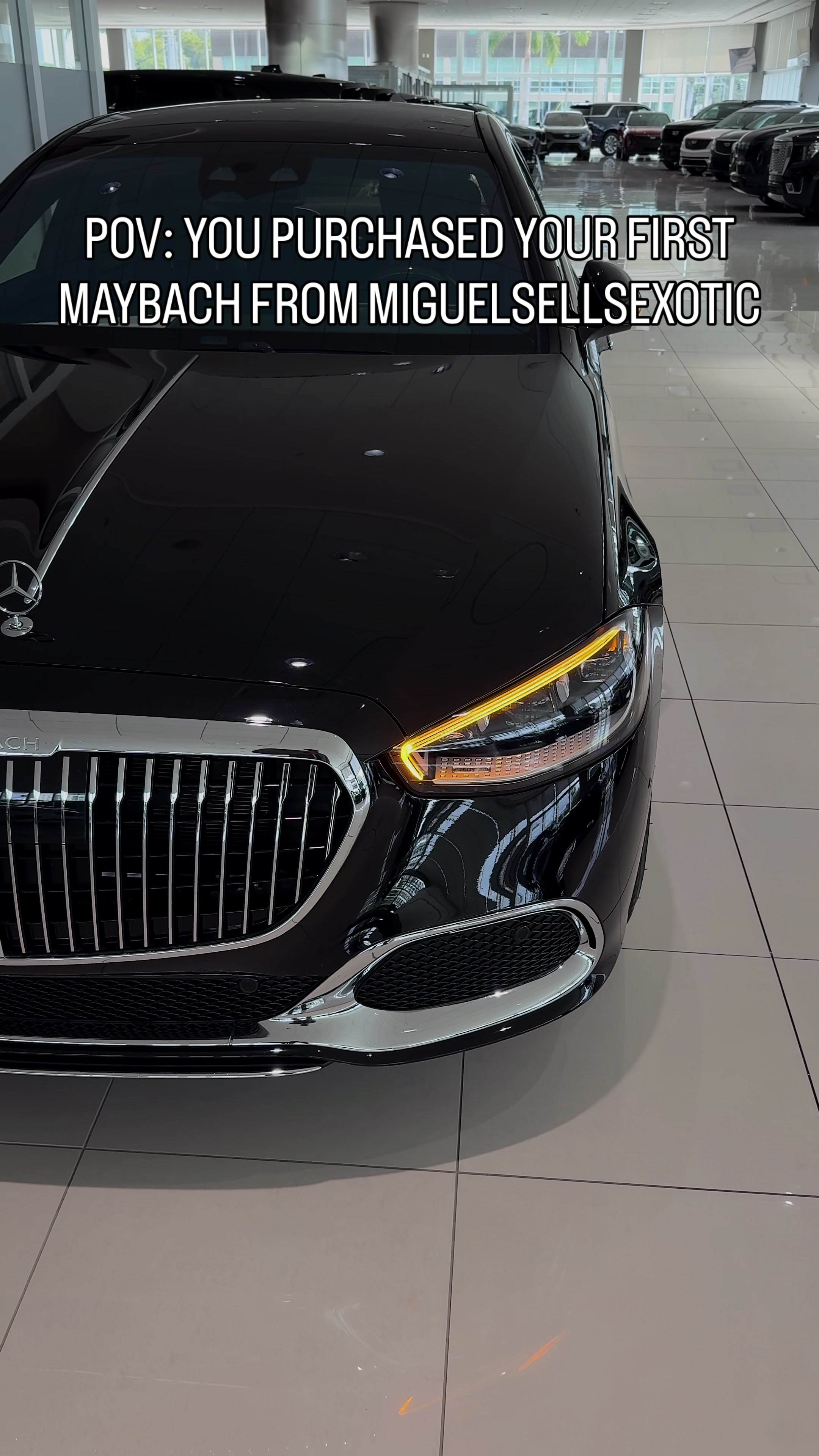 @Miguel Sells Exotics