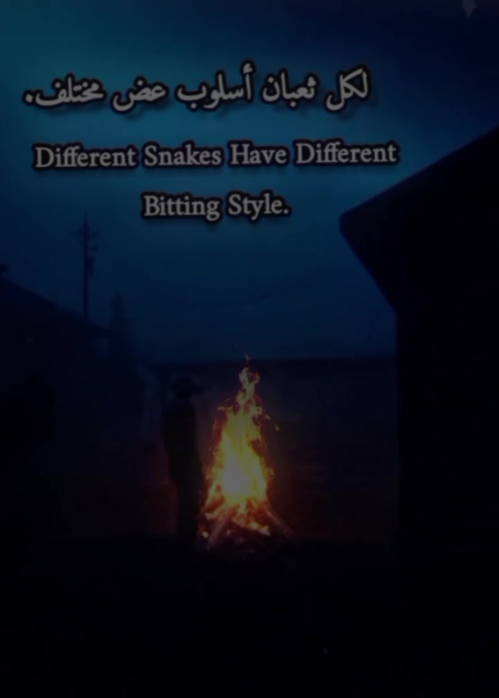 @صخرة:؛𝐑𝐨𝐜𝐤
