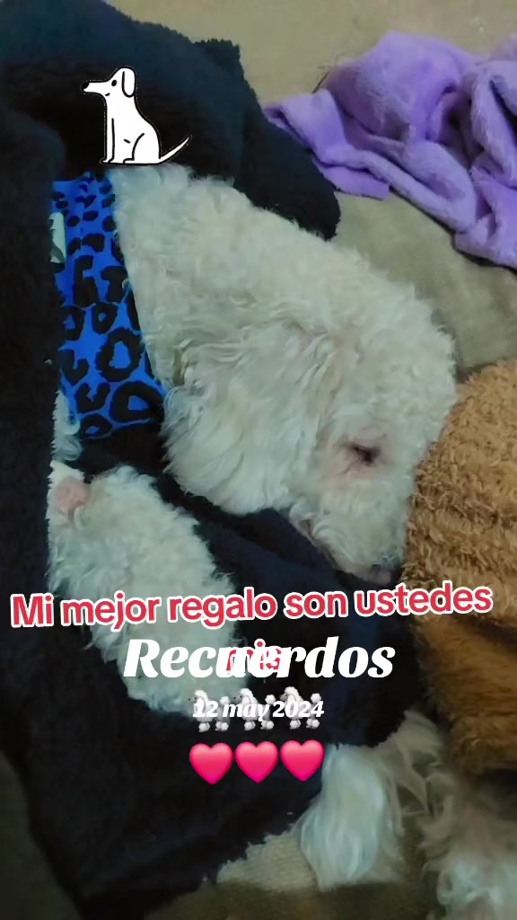 @Carmen Huayama