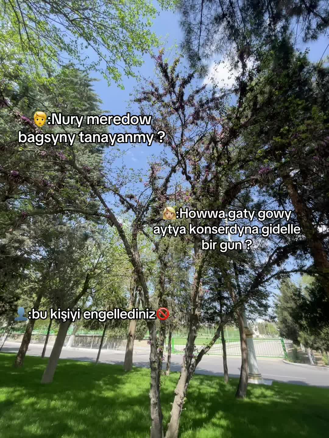 @B_ns.71