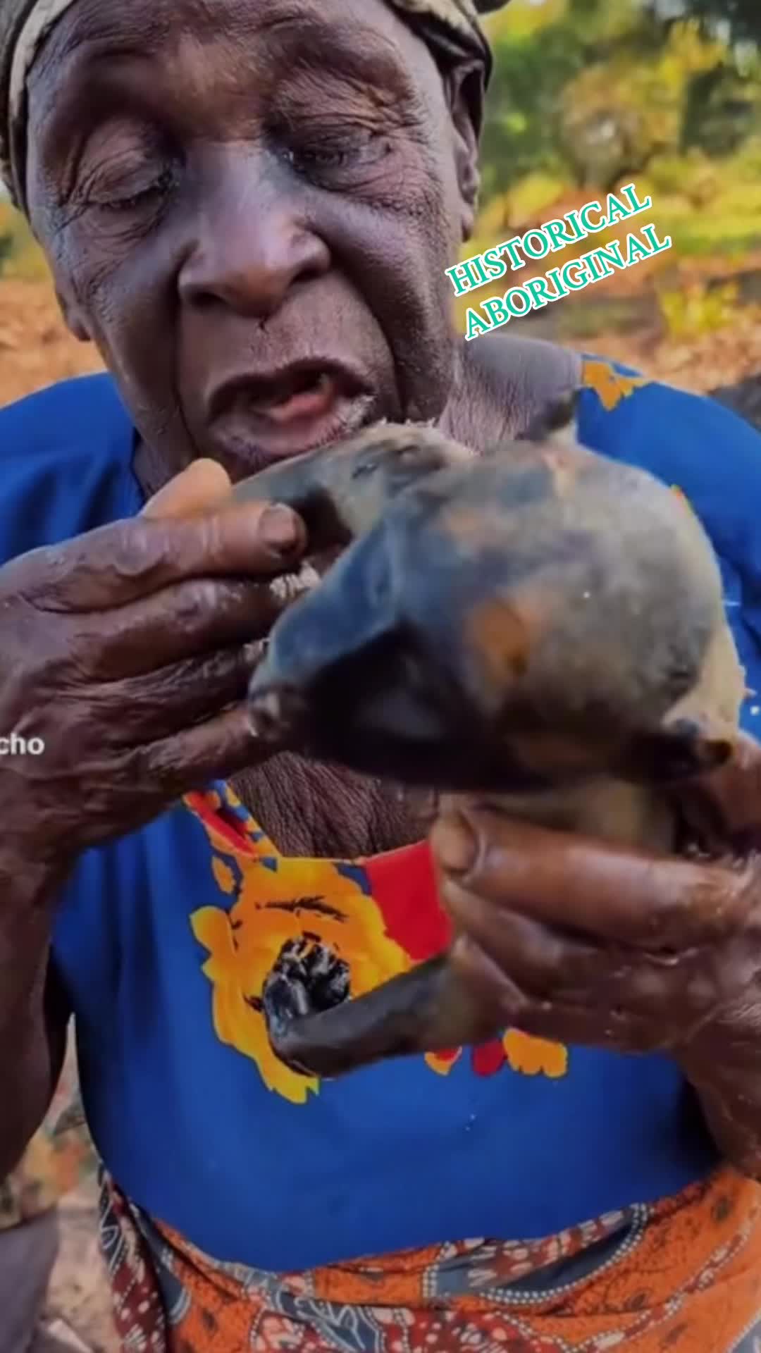 @HISTORICAL ABORIGINAL