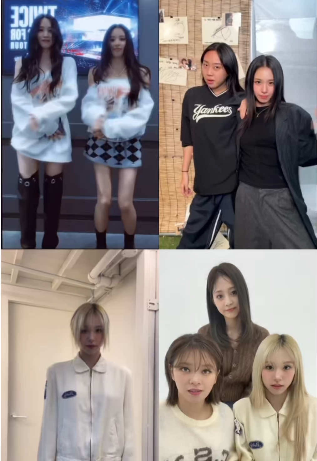 @MOMO