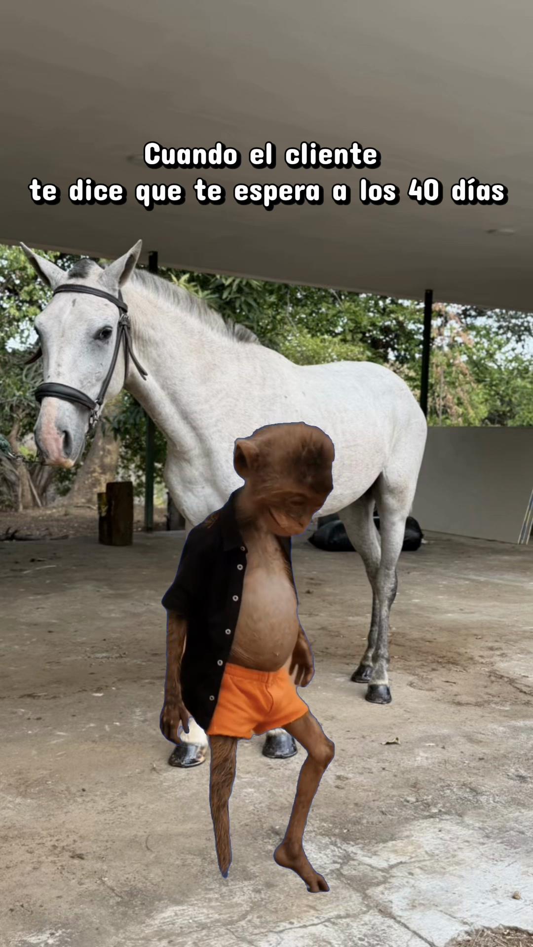 @equinovetnicaragua