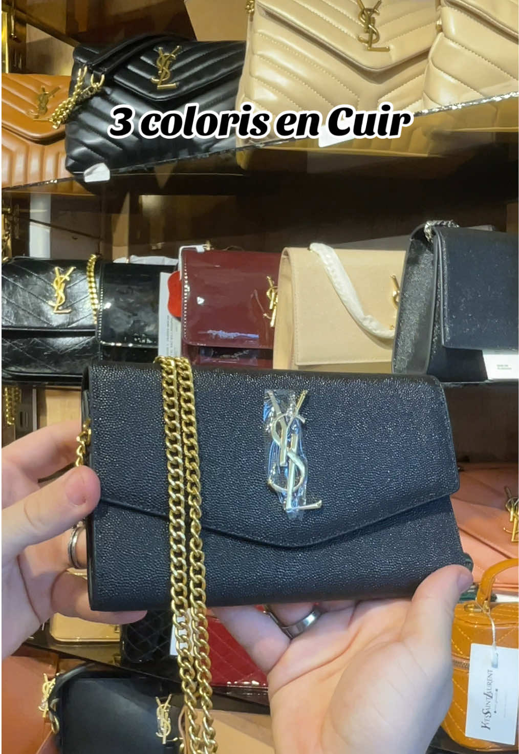 @PETIT_PARADIS 🇩🇿
