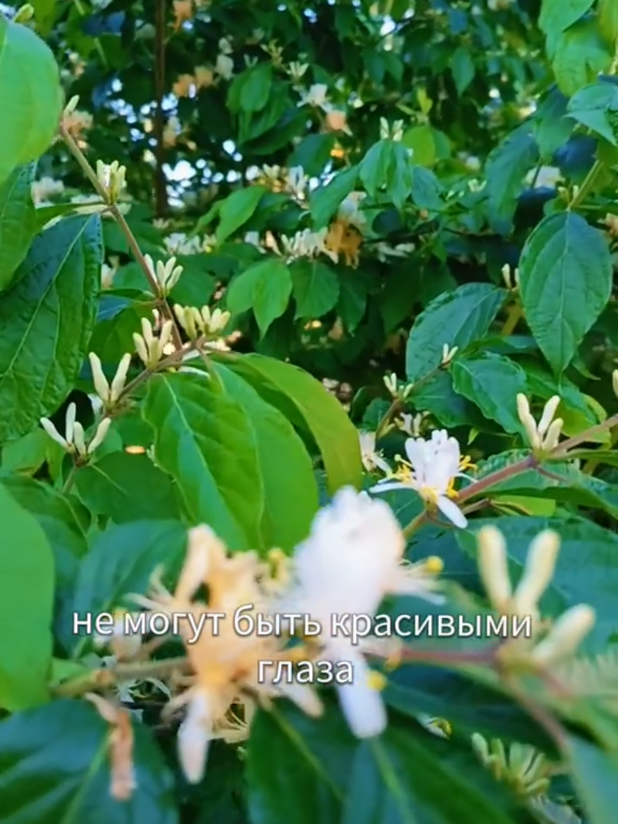 @Марина 🌺🍃