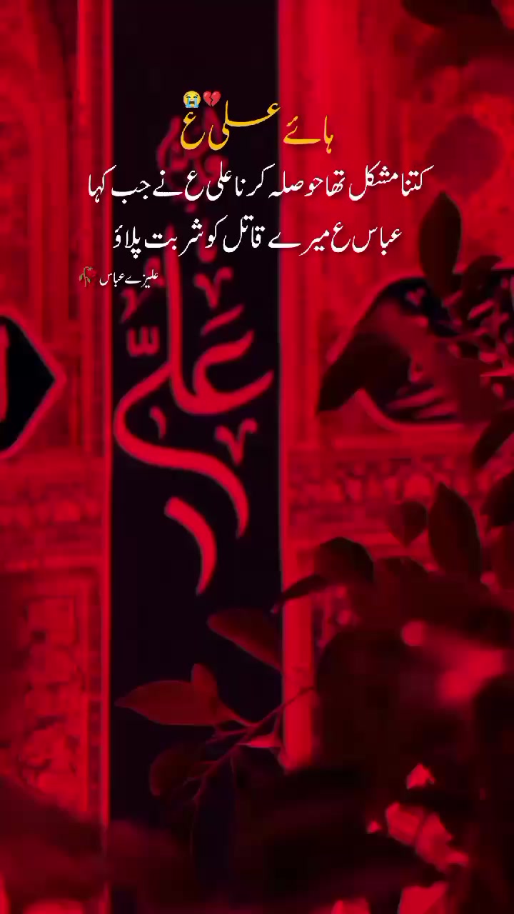 @𝓐𝓵𝓲 𝓦𝓻𝓲𝓽𝓮𝓼 ٣١٣