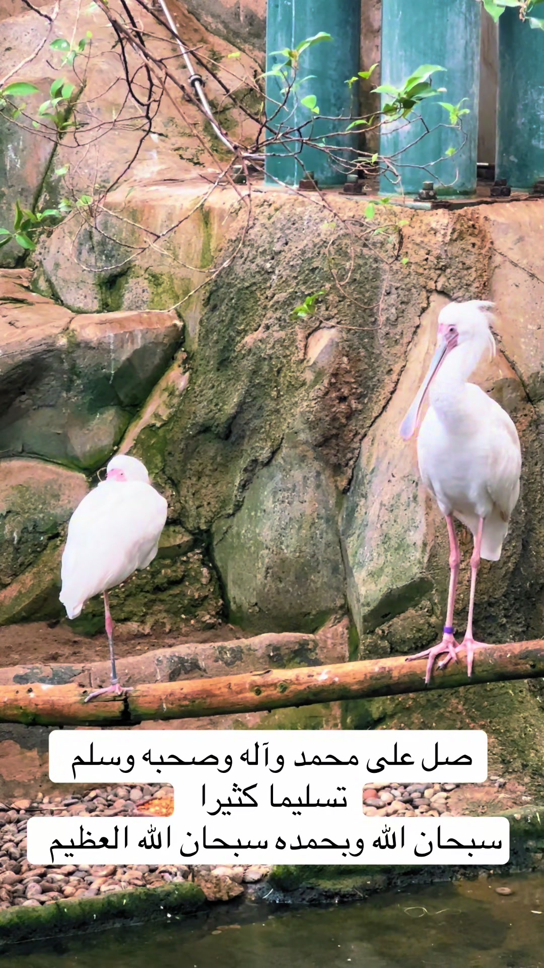 @sedral47