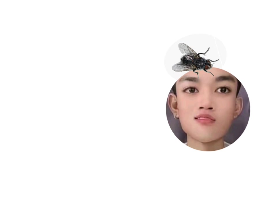 @gb l&agrave; mặt trời nhỏ