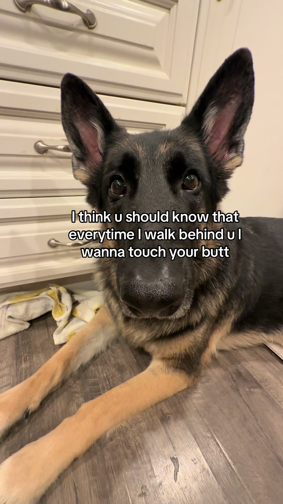 @Bhris