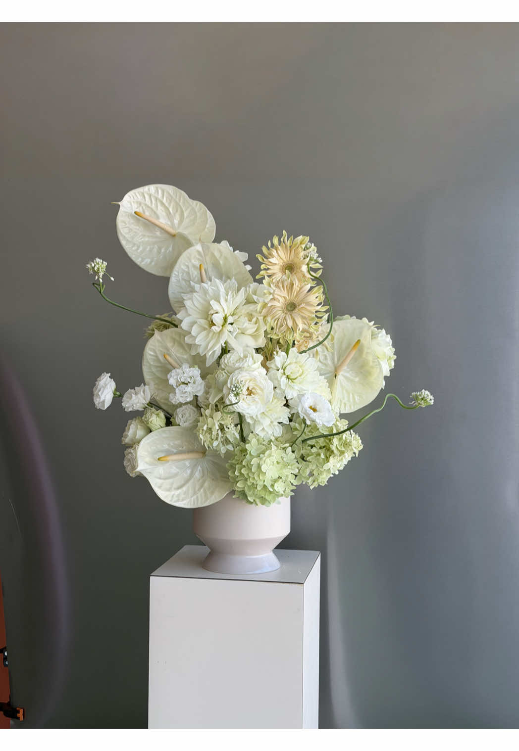 @Elizabeth Jaime | Calma Floral