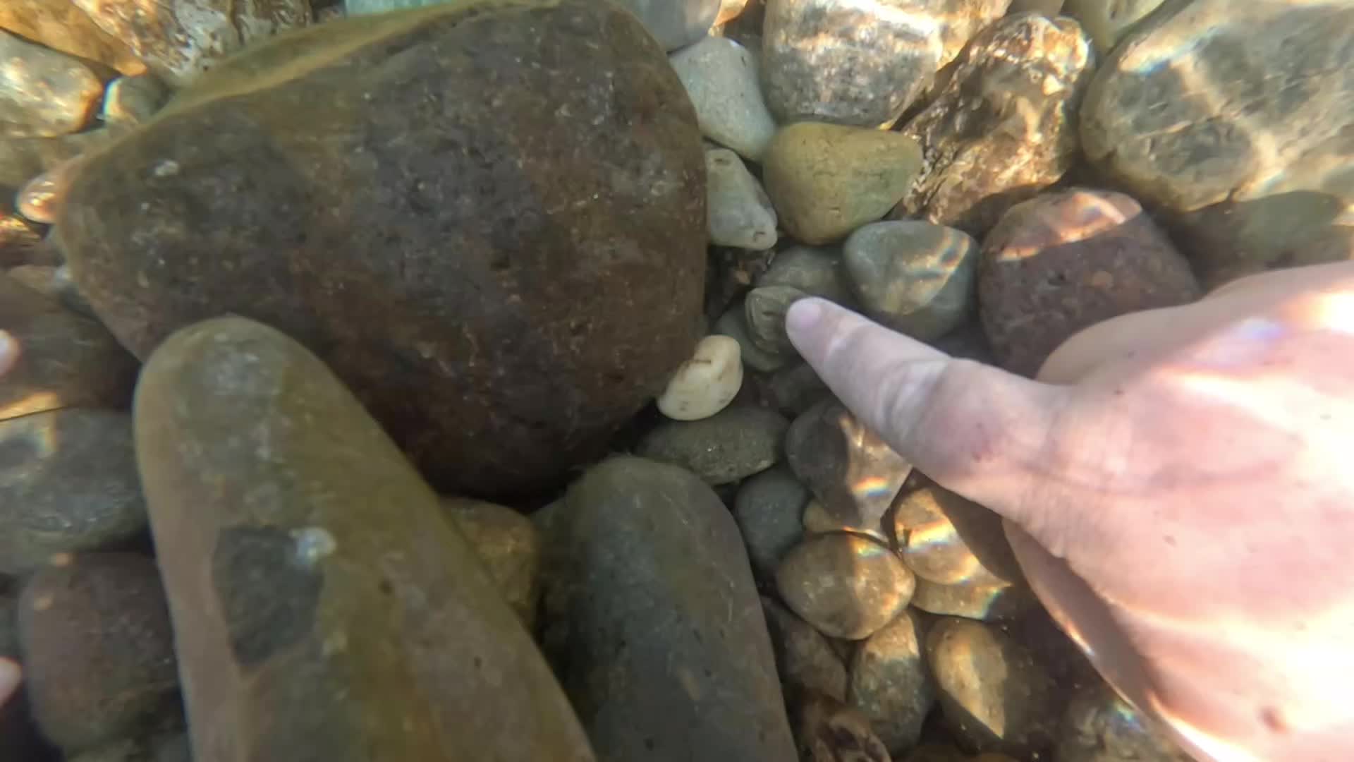 @The COS 00420