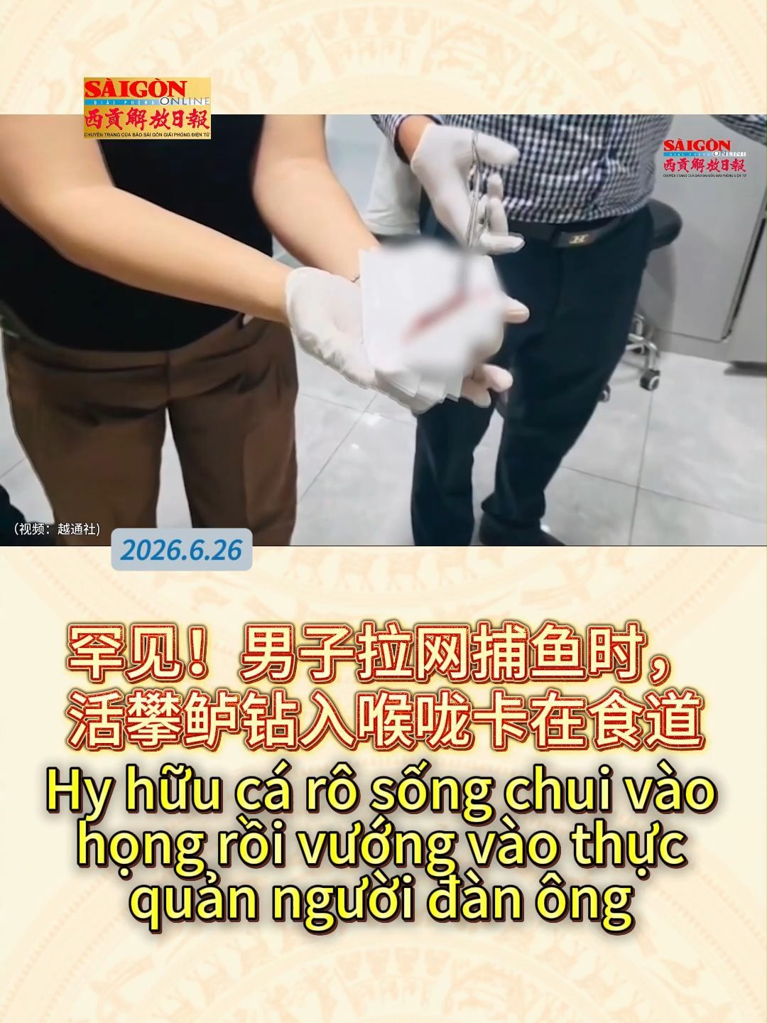 @西贡解放日报-B&aacute;o SGGP bản Hoa văn