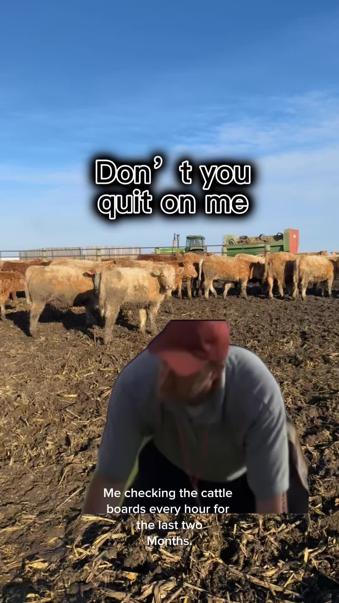 @Aaron Schaible