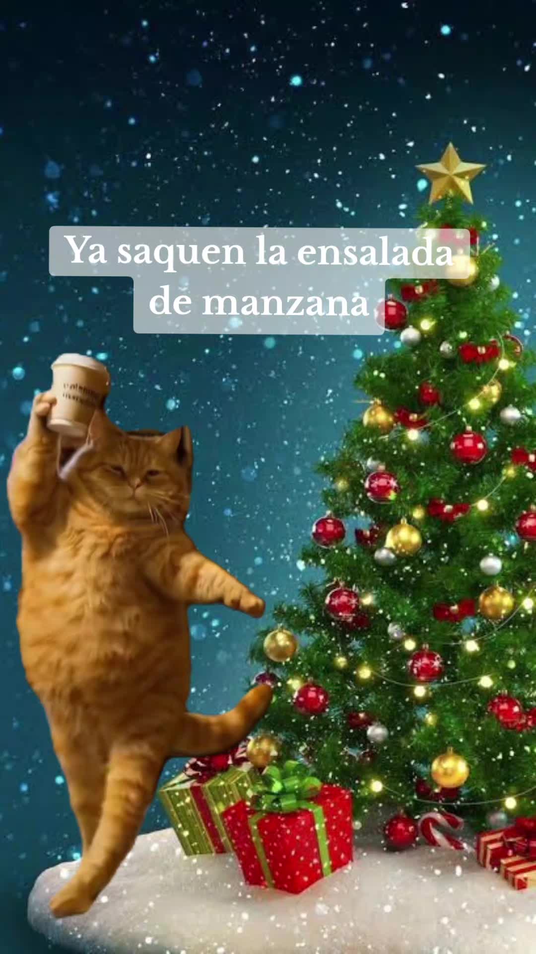 @Liz Lara