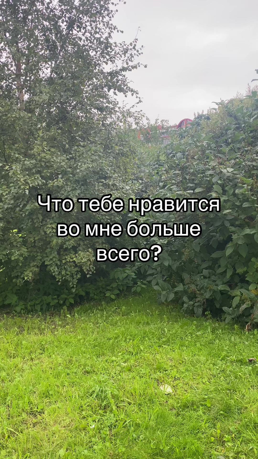 @Данил